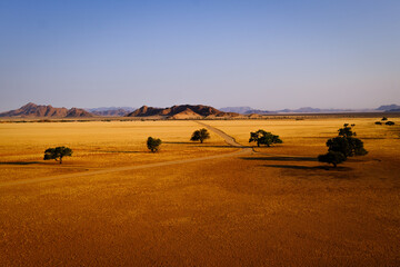 A winding gravel track cuts through the vast namib desert near Elim dune, bordered by scattered trees and framed by distant mountain peaks. A stunning blend of isolation and beauty of Sossuvlei.