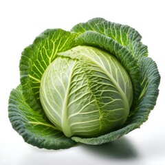 Fototapeta premium cabbage