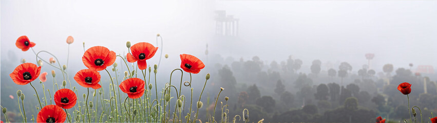 Obraz premium Misty landscape with red poppies, enchanting atmosphere and soft colors
