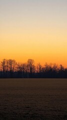 Obraz premium A serene sunset over a field with silhouetted trees.
