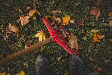 Close-up of a red rake amidst a colorful pile of autumn leaves in shades of yellow, orange, and...