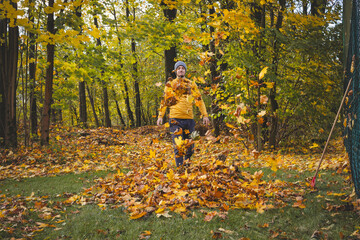 Man in a yellow sweater and beanie raking autumn leaves in a colorful forest. The golden foliage...