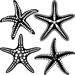 Set of starfish silhouette vector illustration, Starfish icon collection