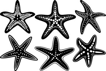 Set of starfish silhouette vector illustration, Starfish icon collection