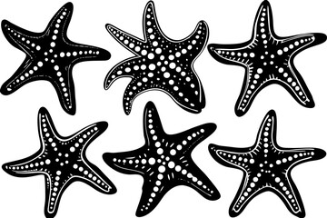 Set of starfish silhouette vector illustration, Starfish icon collection
