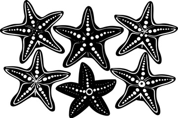 Set of starfish silhouette vector illustration, Starfish icon collection