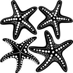Set of starfish silhouette vector illustration, Starfish icon collection