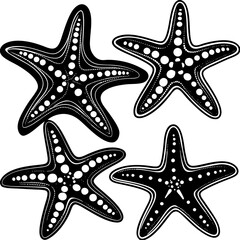Set of starfish silhouette vector illustration, Starfish icon collection