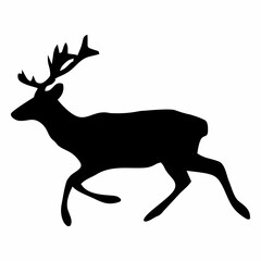 Obraz premium silhouette of an antlered wildebeest