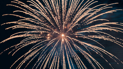 Fototapeta premium photo of a vibrant firework in the dark sky 