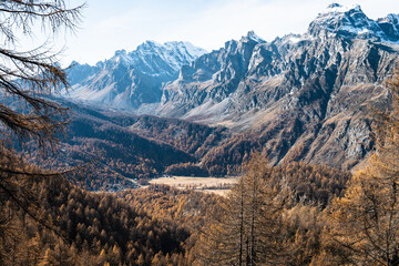 Foliage all'Alpe Sangiatto (Alpe Devero) in autunno
