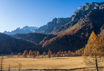 Foliage all'Alpe Sangiatto (Alpe Devero) in autunno