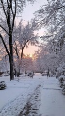 Fototapeta premium A serene winter landscape with snow-covered trees at sunset.