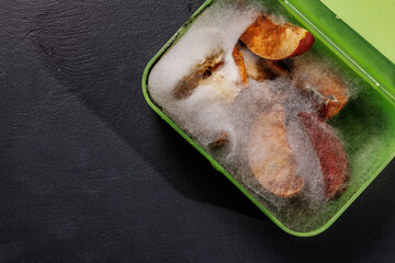 Green lunch box with moldy apple slices showing white fluffy mold on the fruits. mold and expired food concept