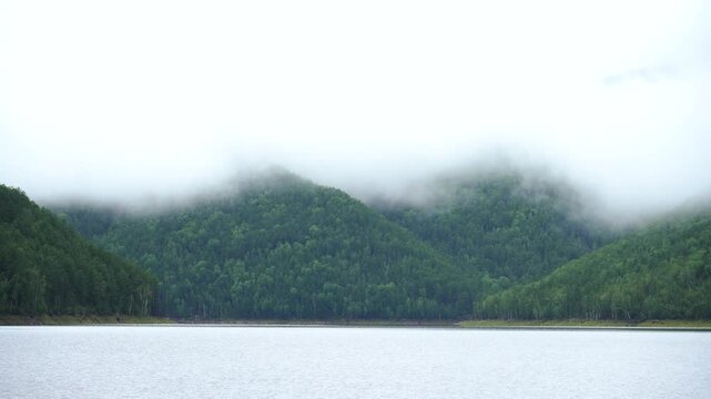 Zeya reservoir reserve. Green coniferous hills covered with fog next to a calm lake.