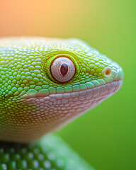 Vibrant green reptile skin textures natural habitat close-up photography lush environment macro viewpoint wildlife concept