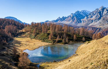 Foliage all'Alpe Sangiatto (Alpe Devero) in autunno
