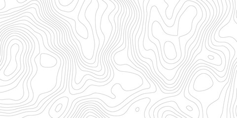 White wave paper curved reliefs abstract background,, Vector contour topographic map background.geography contour map linear background vector illustration,