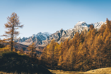 Foliage all'Alpe Sangiatto (Alpe Devero) in autunno
