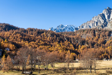 Foliage all'Alpe Sangiatto (Alpe Devero) in autunno