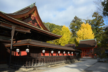 Fototapeta premium 北野天満宮 本殿と地主神社 京都市上京区