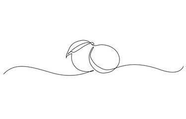 Fototapeta premium Continuous one line drawing of orange fruit, Orange fruit in continuous line art drawing style, Single continuous line drawing sliced healthy organic lemon for orchard logo identity.