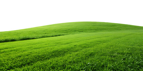 Obraz premium Green hill and grass field isolated on a white background, Cut out, clipping path, full depth