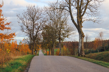 Droga asfaltowa w czasie jesieni