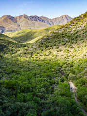 Pathway Above Cango Caves