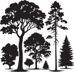 Obraz premium set of trees silhouettes
