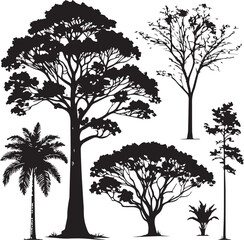 Obraz premium silhouettes of trees