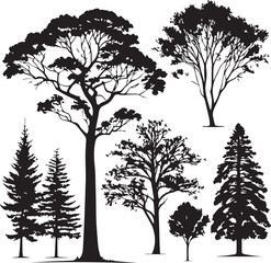 Fototapeta premium set of trees silhouettes