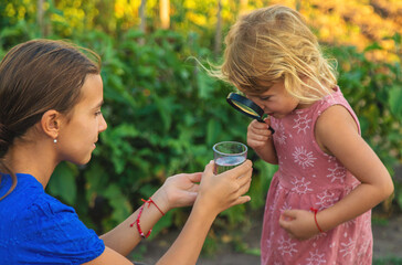 Obraz premium A child looks at water through a magnifying glass. Selective focus.