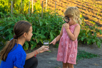 A child looks at water through a magnifying glass. Selective focus.