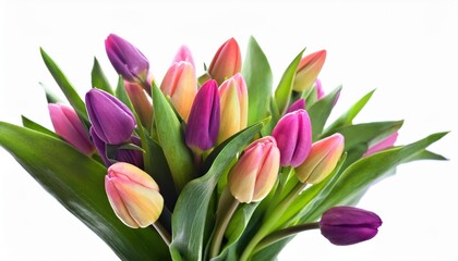 Naklejka premium Elegant and Vibrant Tulip Bouquet for March 8 Women’s Day. Symbol of Spring Beauty, Perfect for Gifts, Festive Home Decorations, Greeting Cards, and Inspiring Seasonal Photography Ideas