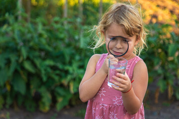 A child looks at water through a magnifying glass. Selective focus.