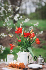 garden and tea party