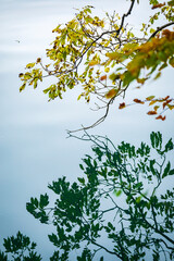 Autumn at Lake Bled