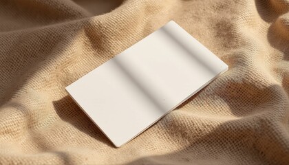 Fototapeta premium Soft Feather on Neutral Background