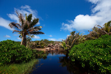 Tropical island scenery of Seychelles in the Indian Ocean