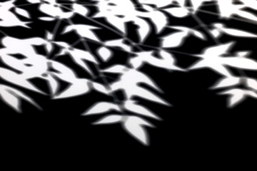 Naklejka premium 黒背景に植物シルエット