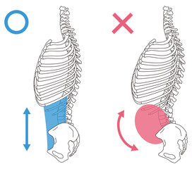 肋骨の開き　反り腰　正しい姿勢と反り腰の姿勢