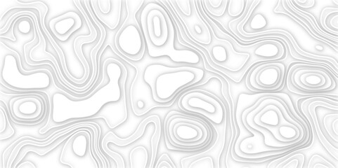 Abstract design with black and white abstract papercut and multi-layer cutout geometric pattern on vector Topographic canyon geometric map relief texture with curved layers beautiful design.	
