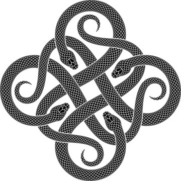 Vector tattoo design of four black snakes intertwined in form of cross symbol. Isolated black serpent silhouette in square shape.
