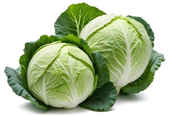 Fototapeta premium Two heads of fresh cabbage with green leaves, set against a white background