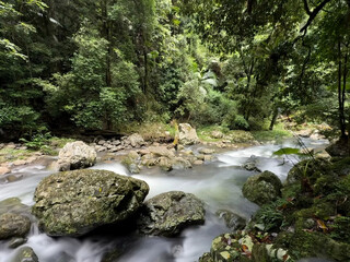 Quiet stream, Springbrook National Park, Gold Coast Hinterland, Queensland, Australia