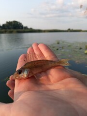 hand holding a fishing rod