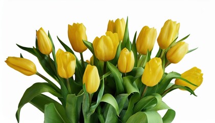 Vibrant Yellow Tulips Bouquet. Symbol of Joy and Sunshine for Celebrations like Women’s Day, Birthdays, and Spring Festivals. Perfect for Brightening Homes, Gifting, or Office Décor