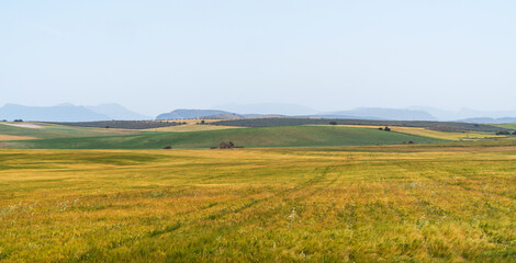 Fototapeta premium A vast, rolling landscape in La Mancha, Spain, characterized by golden fields of grain, green hills, and distant mountain ranges. An old, rustic building sits alone in the fields under a clear sky.