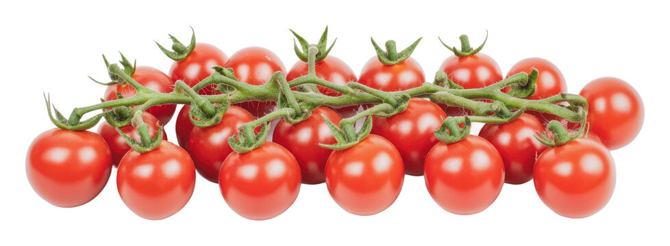 Summer-harvested vine-ripened cherries, cut out - stock png.